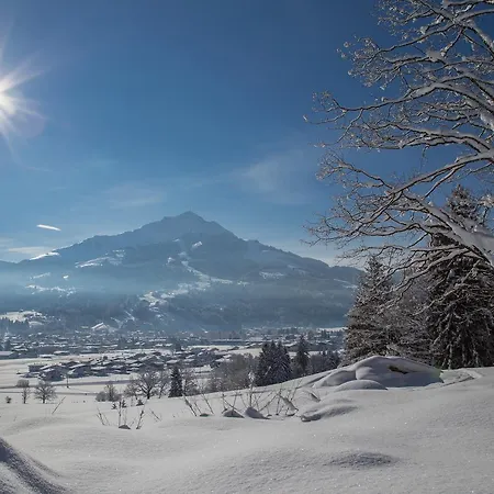 فندق Bruggwirt 4*